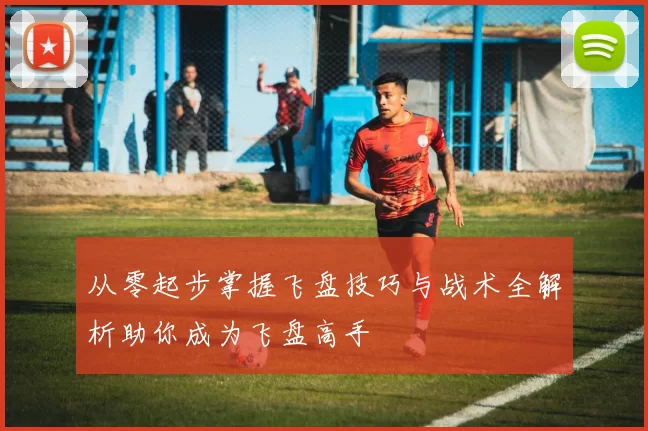 从零起步掌握飞盘技巧与战术全解析助你成为飞盘高手
