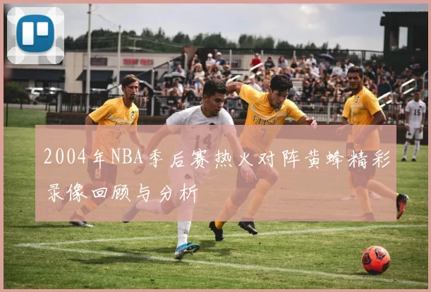 2004年NBA季后赛热火对阵黄蜂精彩录像回顾与分析