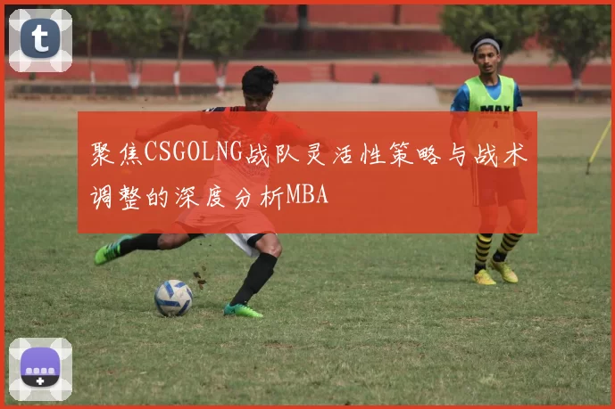 聚焦CSGOLNG战队灵活性策略与战术调整的深度分析MBA