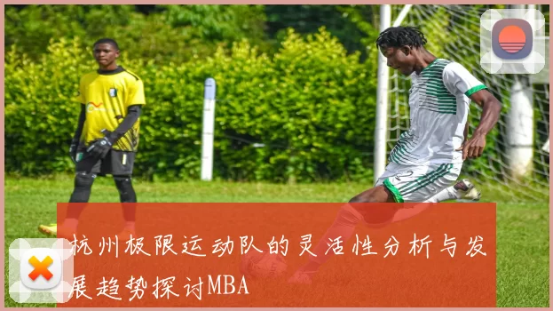 杭州极限运动队的灵活性分析与发展趋势探讨MBA