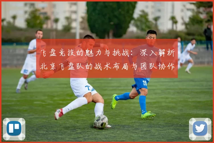 飞盘竞技的魅力与挑战：深入解析北京飞盘队的战术布局与团队协作MBA
